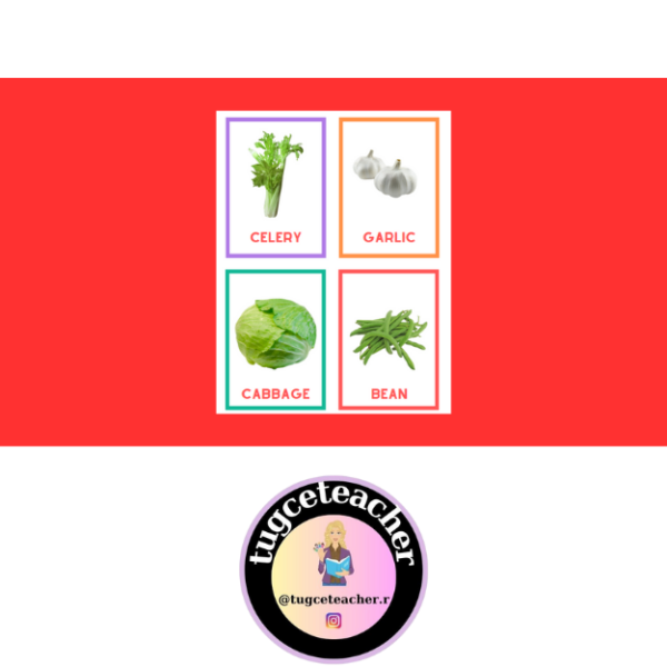 Vegetables Flashcards (Sebzeler Resimli Kelime Kartları ) - Görsel 2